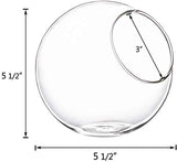 Plant Terrarium Display Glass Tabletop Succulent Air Plant Planter Globe