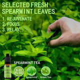 Essential Oil Blends, Essential Oils Set for Diffusers for Home, Well-Being Kit- Spearmint Tea, Calming, Dreams, Relaxing, Mood, Fresh Air Aromatherapy Oils for Humidifiers, Skin, 6x10ml