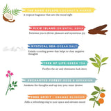 Folkulture Incense Sticks | Set of 6 (120 Insence-Sticks) for Positive Aura | Coconut Mango, Oriental Aqua, Green Tea, Ocean Salt, Rose Geranium, Orange Blossom Inscents-Sticks | Magic Hour