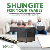 Shungite Cube – The Shield