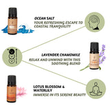 Folkulture Fragrance Oils for Diffuser | Set of 6 Essential Oils Set for Diffusers for Home | Diffuser Oil Scents - Lavender, Palo Santo, Rose Geranium, Lemongrass, Ocean Salt | Lotus Gift Box Set