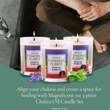 Magnificent 101 Set of 3 Long-Lasting 7 Chakras Plants Aromatherapy Candles | 10.5 Oz - 42-Hour Burn | 100% Soy Wax & Herbs | Ideal for Meditation, Energy Cleansing & Manifestation