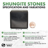Shungite Cube – The Shield