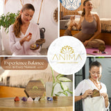 Anima Premium 7 Chakras Crystals and Healing Stones Set with Guide Booklet - Large Raw Healing Crystals and Stones Set in Wooden Box for Energy Alignment & Spiritual Growth - Ethically Sourced