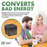 Shungite Cube – The Shield