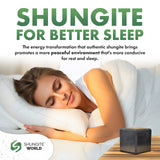 Shungite Cube – The Shield