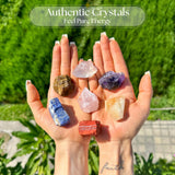 Anima Premium 7 Chakras Crystals and Healing Stones Set with Guide Booklet - Large Raw Healing Crystals and Stones Set in Wooden Box for Energy Alignment & Spiritual Growth - Ethically Sourced