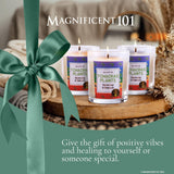 Magnificent 101 Set of 3 Long-Lasting 7 Chakras Plants Aromatherapy Candles | 10.5 Oz - 42-Hour Burn | 100% Soy Wax & Herbs | Ideal for Meditation, Energy Cleansing & Manifestation