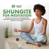 Shungite Cube – The Shield